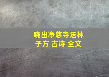 晓出净慈寺送林子方 古诗 全文